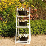 White ladder with black pots of flowers against a natural background