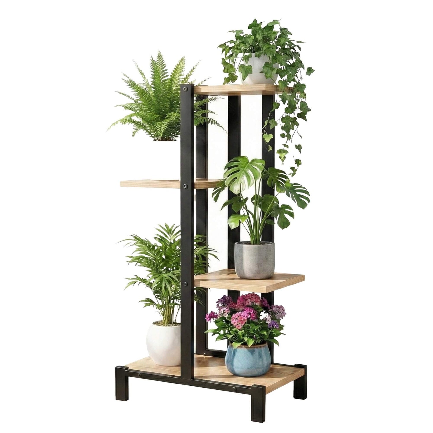 Plant stand with various potted plants on a white background