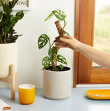 We the Wild - Coco Climber Stackable Grow Pole - 2 Pack