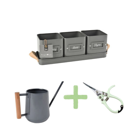 Set of gardening tools including a watering can, scissors, and a metal tray with three pots on a white background.