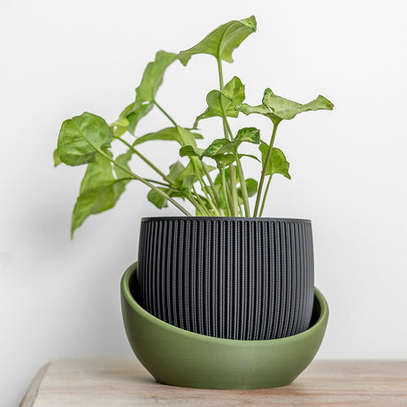 The Cradle Tabletop Planter - Regular