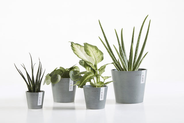 Ecopots Blue grey range of pots