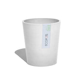 White pot with 'Ecopots' label on a white background