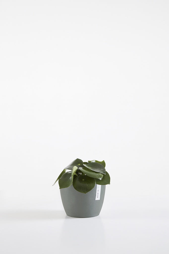 EcoPots Stockholm 16cm Pot - Blue Grey