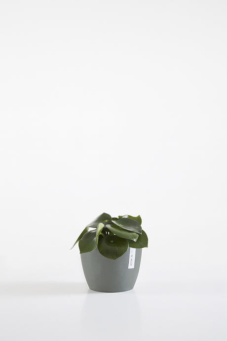 EcoPots Stockholm 16cm Pot - Blue Grey