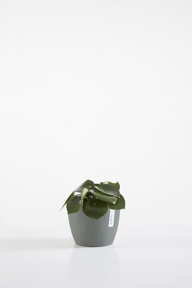 EcoPots Stockholm 16cm Pot - Blue Grey