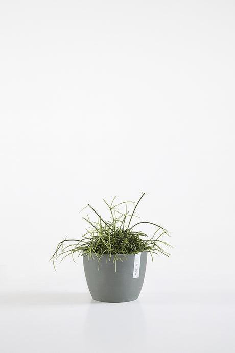 EcoPots Stockholm 16cm Pot - Blue Grey