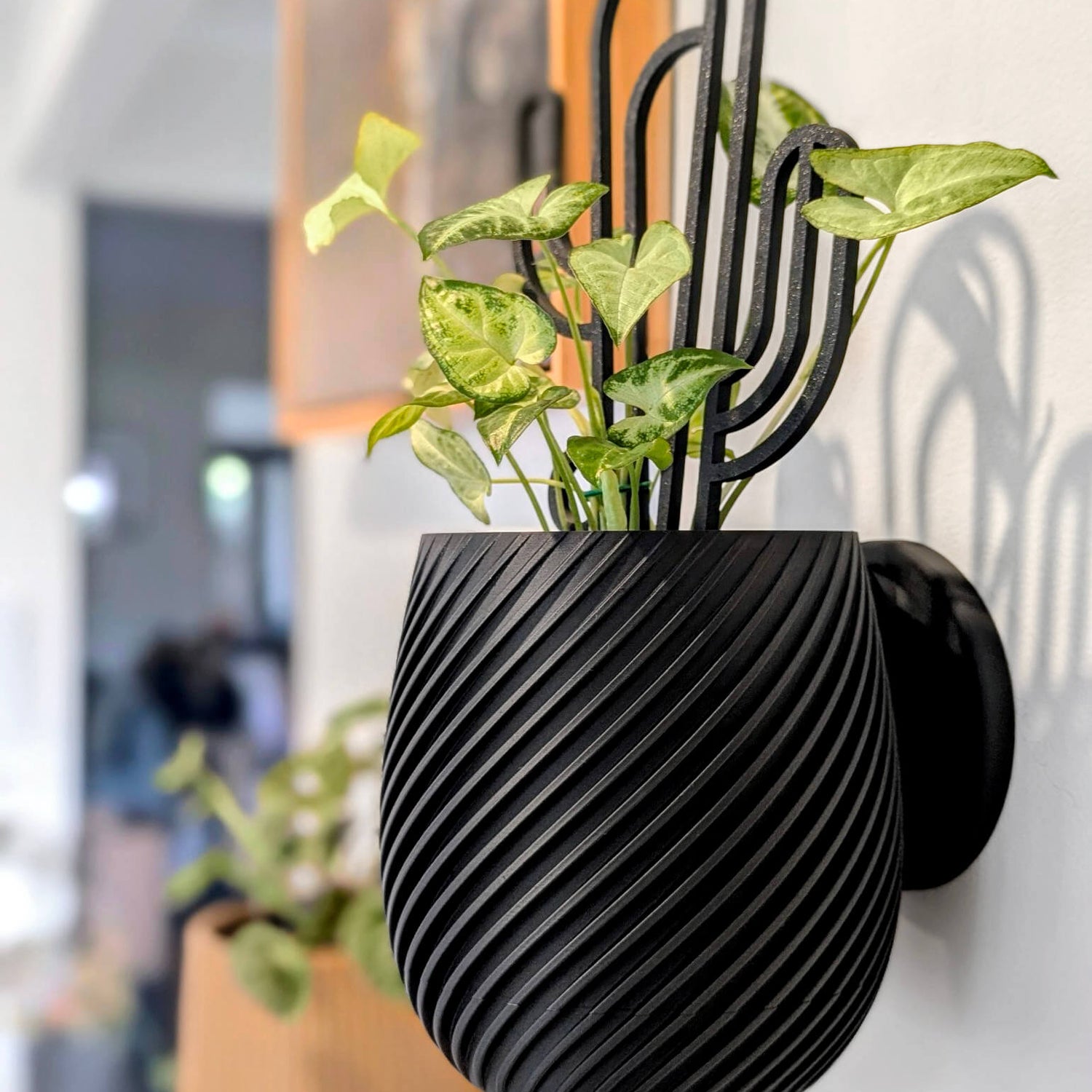 Swirl Wall Planter - 11.4cm