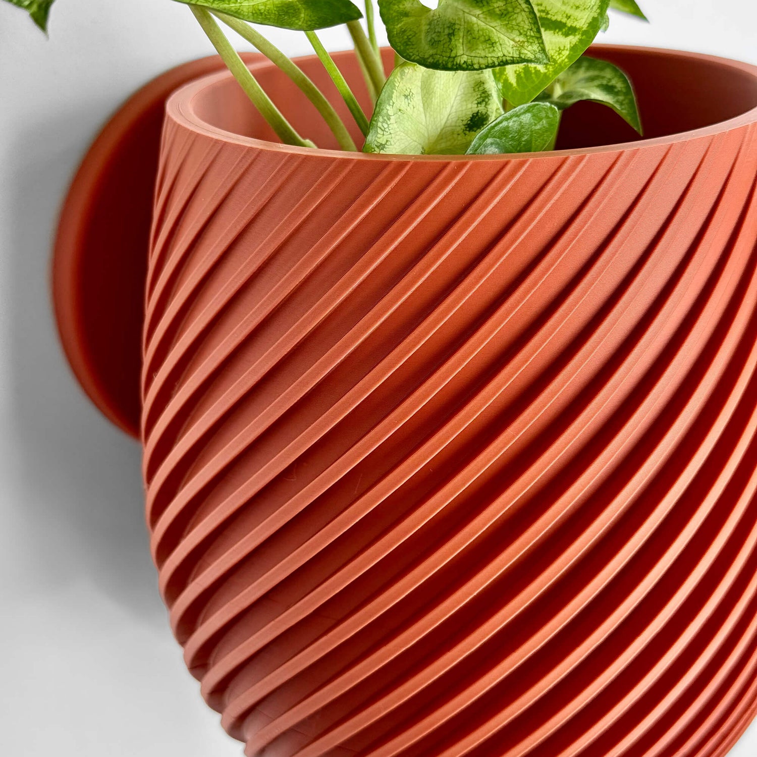 Swirl Wall Planter - 11.4cm
