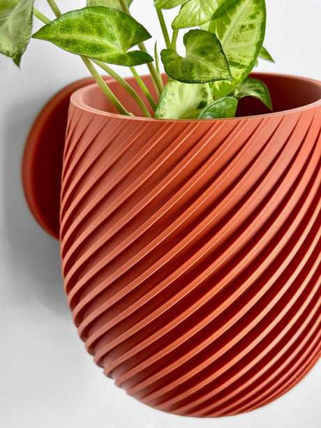Swirl Wall Planter - 11.4cm