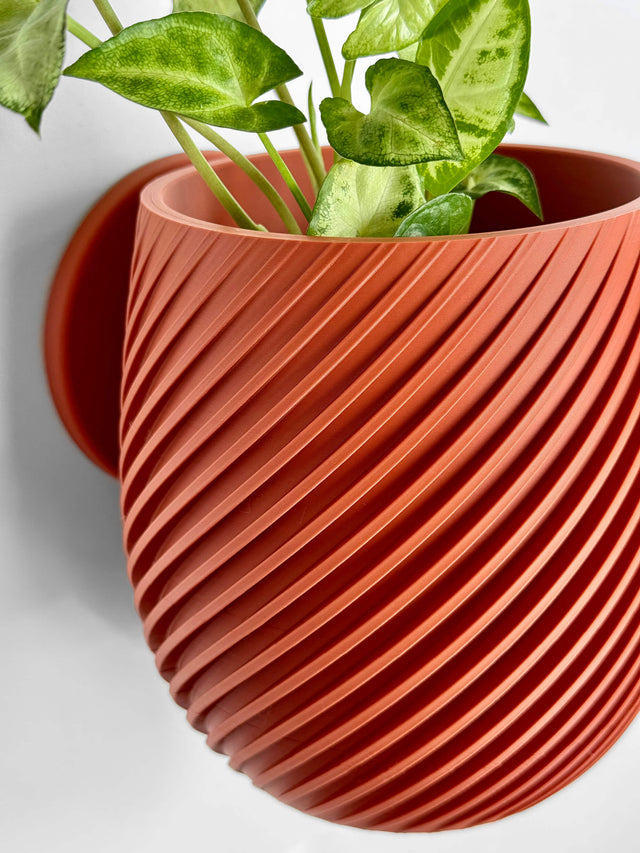 Swirl Wall Planter - 11.4cm