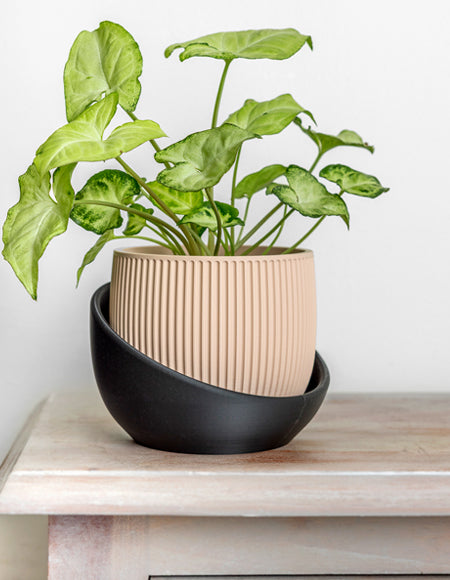 The Cradle Tabletop Planter - Regular
