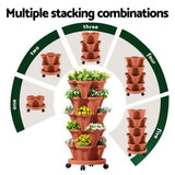 Elevated garden bed system with multiple stacking combinations shown on a white background.