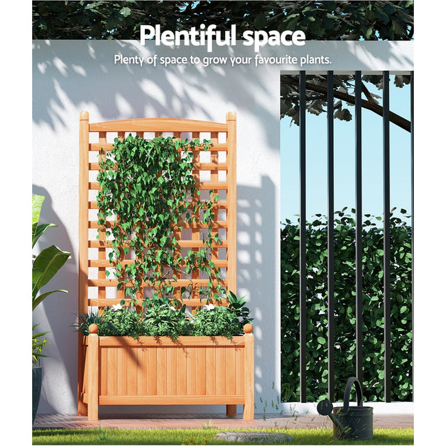 Wooden planter box and trelise with vines growing 