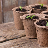 Vertical Garden 'Get Started' Bundle - Brick Red