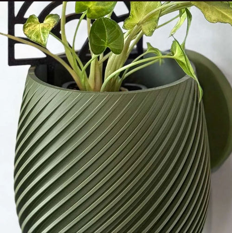 Swirl Wall Planter - 11.4cm