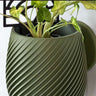 Swirl Wall Planter - 11.4cm