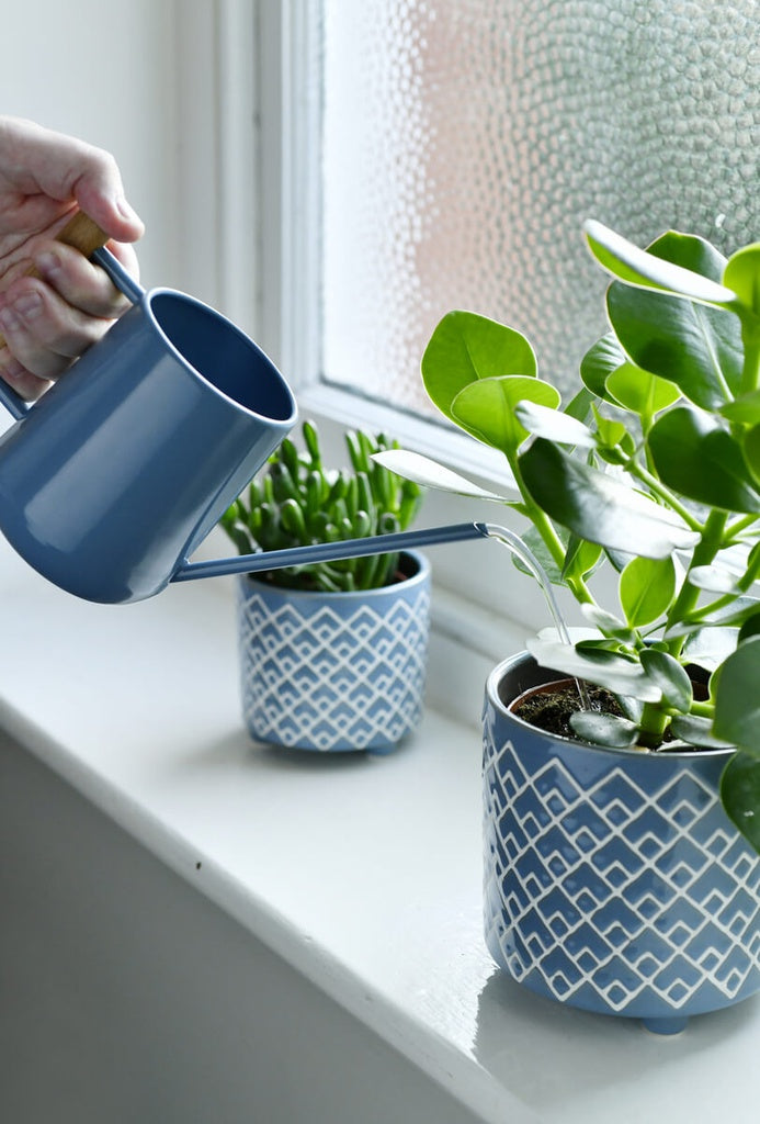 Small indoor watering can blue for plants