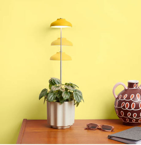 We the Wild Instant Sun Grow Lamp – Full‑Spectrum Indoor Plant Light