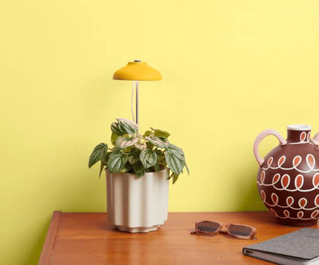 We the Wild Instant Sun Grow Lamp: Full‑Spectrum Indoor Plant Light