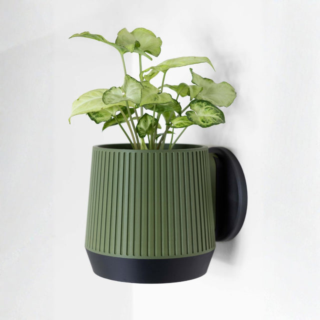 Meridian Wall Planter - 11.4cm