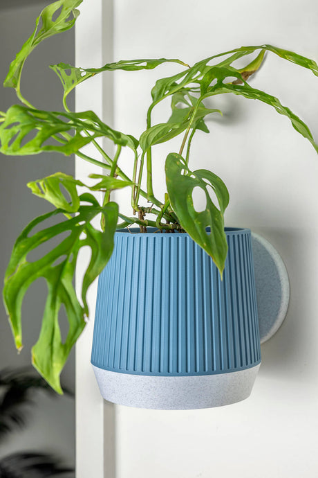 Meridian Wall Planter - 11.4cm