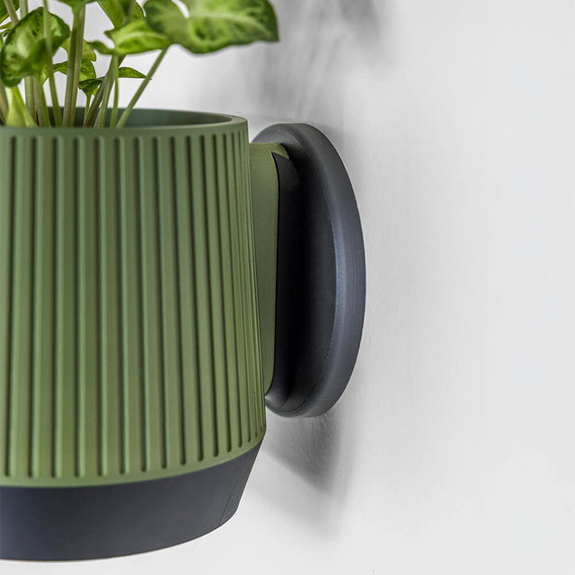 Meridian Wall Planter - 11.4cm