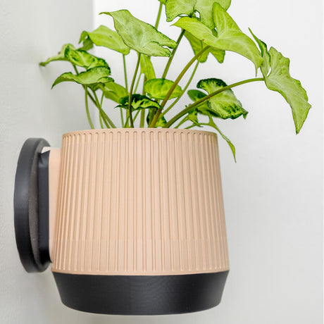 Meridian Wall Planter - 11.4cm