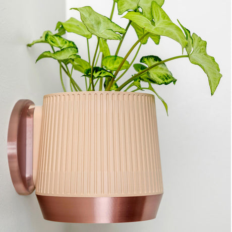 Meridian Wall Planter - 11.4cm