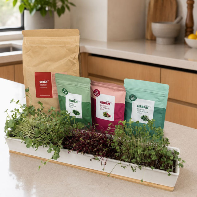 MicroGreens Windowsill Planter Seed and Coir Pack
