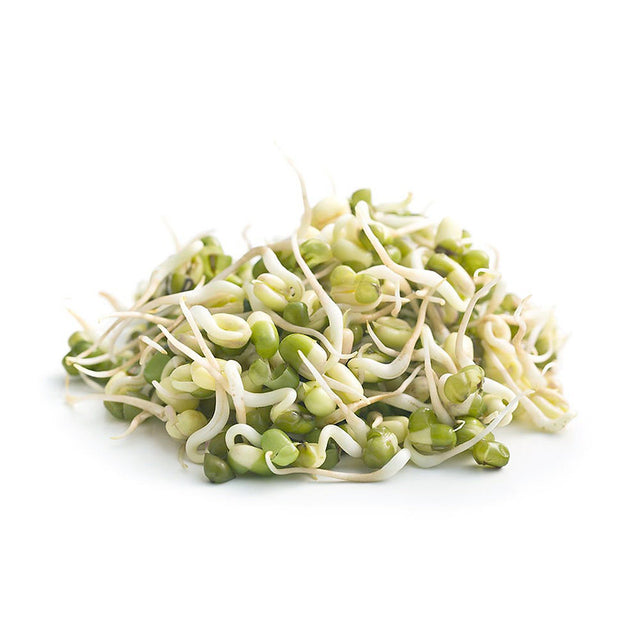 Mung Bean Sprouting Seeds - 100g