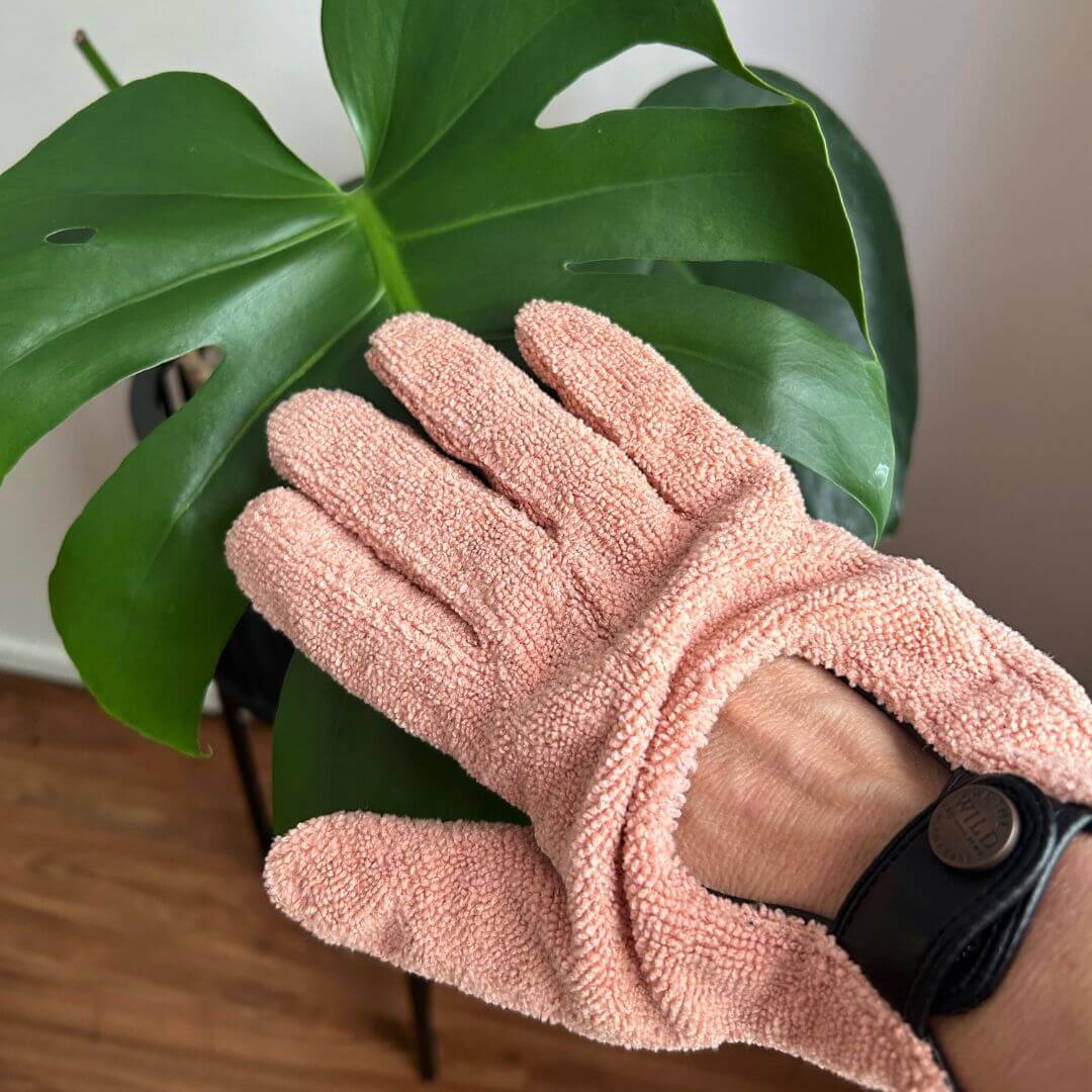 'We the Wild' Proud Plant Mum Leaf Care Kit