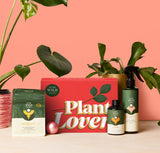 Collection of plant care products including a box labeled 'Plant Lover' on a pink background.