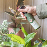 Plant protection spraying onto plants