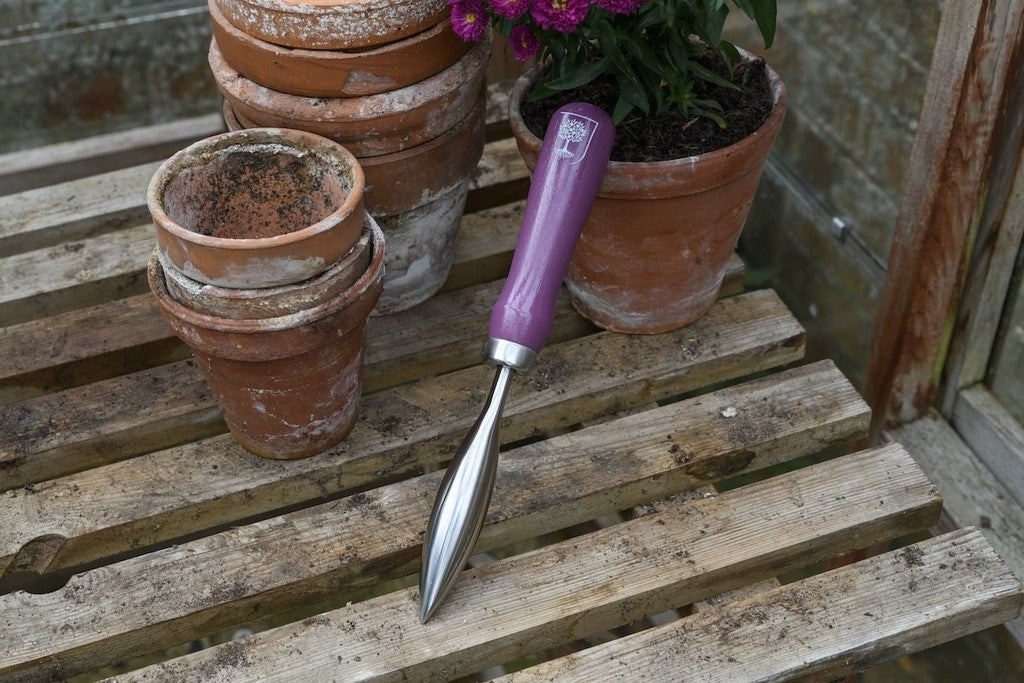 RHS Gift Floral Planting Trowel & Dibber Asteraceae