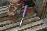 RHS Gift Floral Planting Trowel & Dibber Asteraceae