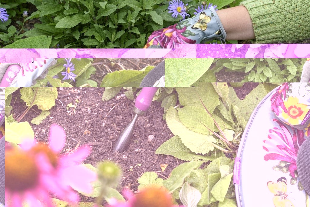 RHS Gift Floral Planting Trowel & Dibber Asteraceae
