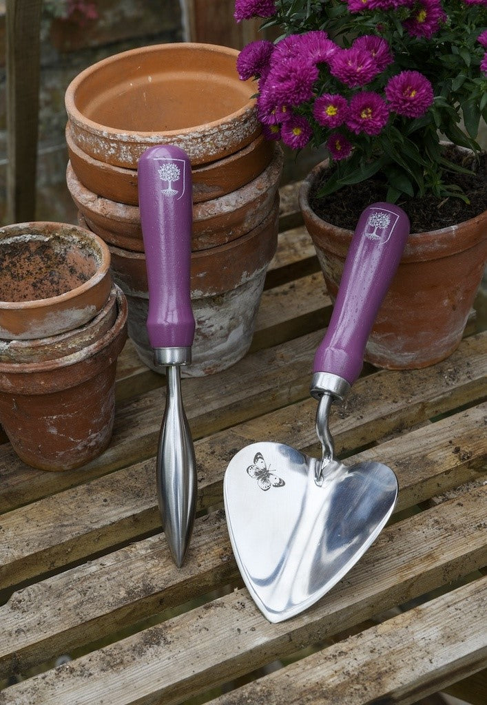 RHS Gift Floral Planting Trowel & Dibber Asteraceae