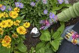 RHS Gift Floral Planting Trowel & Dibber Asteraceae
