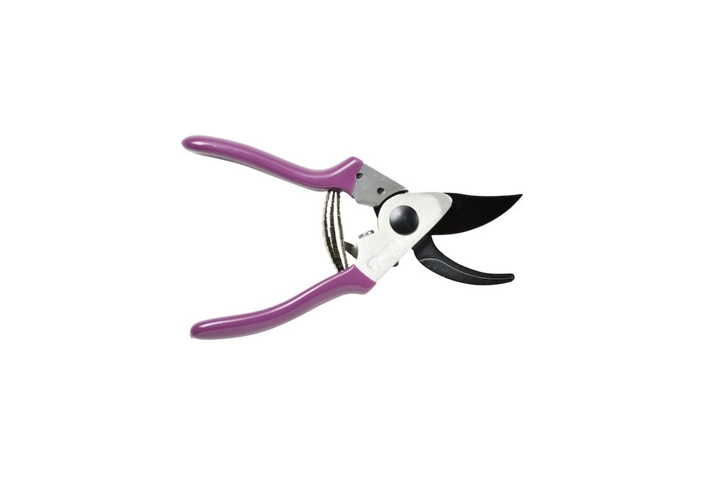 Gardening pruner with purple handles on a white background