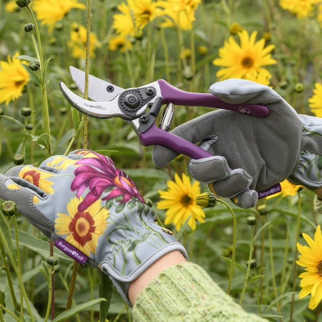 A person wearing gardening gloves and a green knit sweater uses pruning shears with a purple handle to cut yellow flowers in a garden.