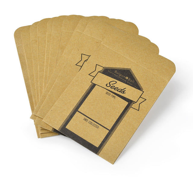 A fan arrangement of small kraft paper seed packets with black printed labels, photographed on a clean white background.