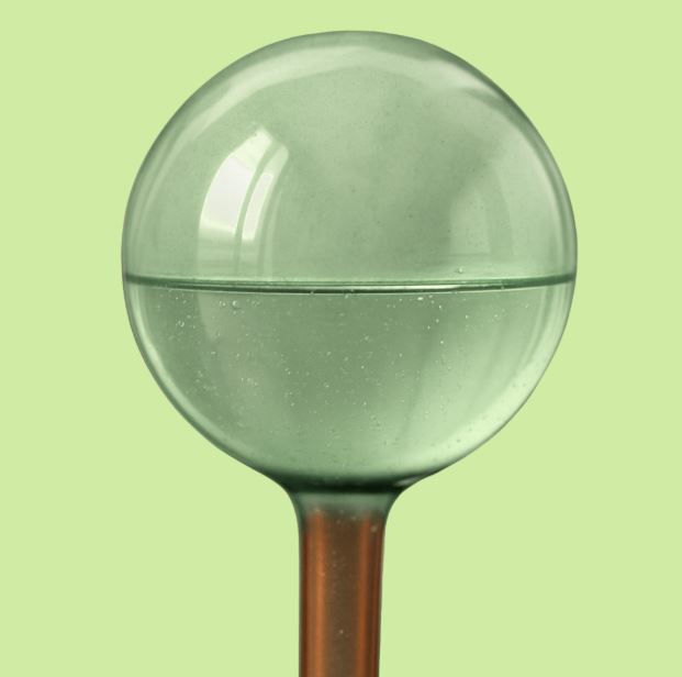 We the Wild - Self‑Watering Plant Globes: 2 Pack for Indoor Pots