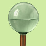 We the Wild - Self‑Watering Plant Globes: 2 Pack for Indoor Pots