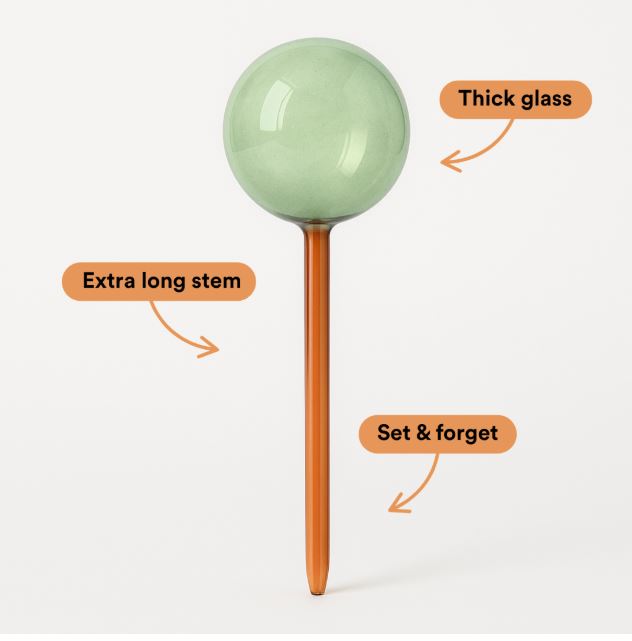 We the Wild - Self‑Watering Plant Globes: Set of 2 Pack