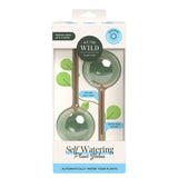 We the Wild - Self‑Watering Plant Globes: 2 Pack for Indoor Pots