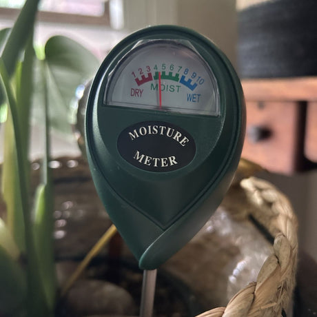 Moisture meter for plants held near a potted plant