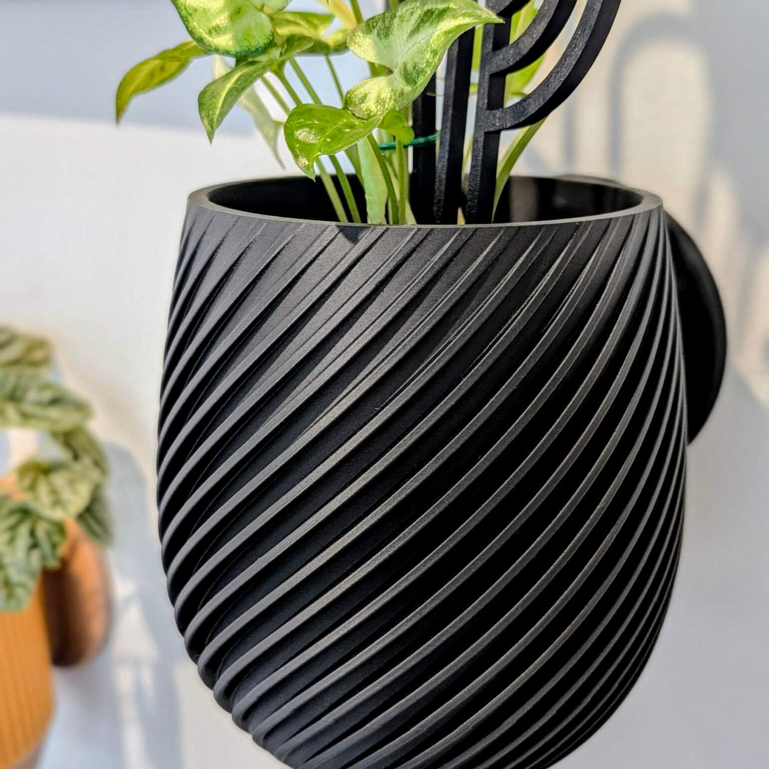 Swirl Wall Planter - 11.4cm