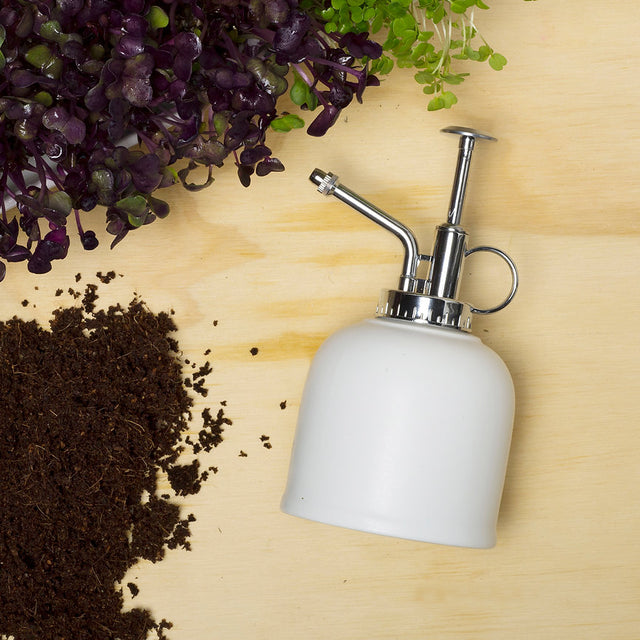 White gardening spray bottle on a wooden surface with soil and plants.