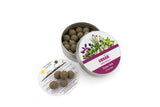 Urban Green Seed Balls - Kitchen Herbs